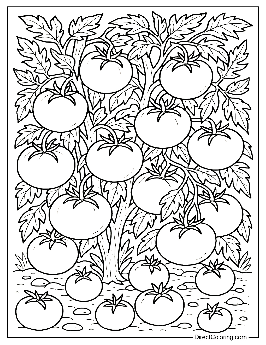 a round, juicy tomato on a tomato plant with 2-3 oval leaves coloring sheet